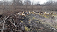В Рубежном нашли свалку с химическими отходами (фото)