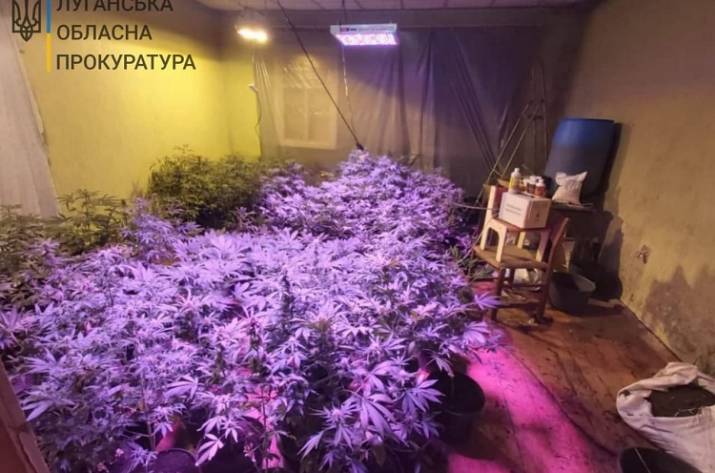 Нарколаборатория