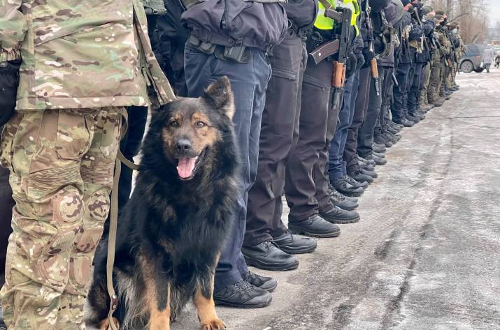 Полиция и Нацгвардия провели отработку в Северодонецке (видео)