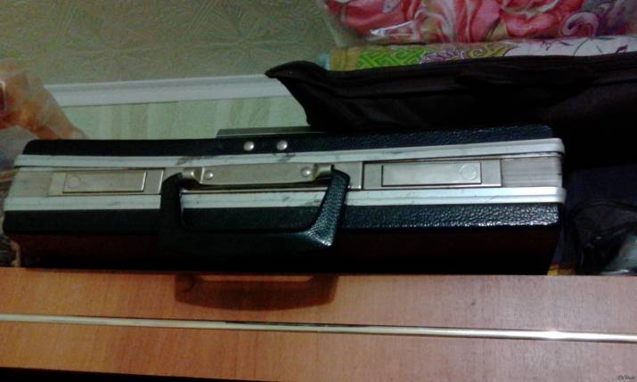 Как в Эстонии продвигали северодонецкие