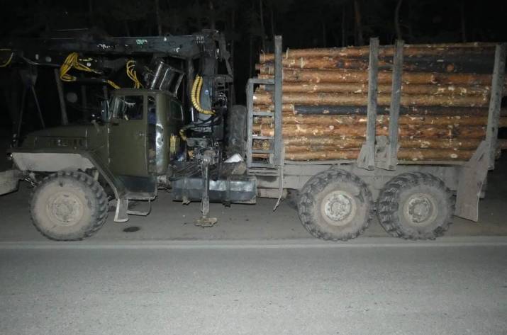 В Луганской области продолжается вырубка леса