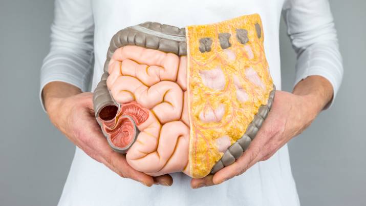 безшлаковая диета