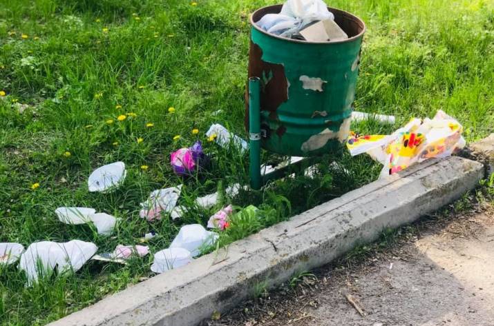 Парк в Северодонецке утопает в мусоре (фото, видео)