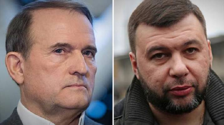 Пушилин Медведчук