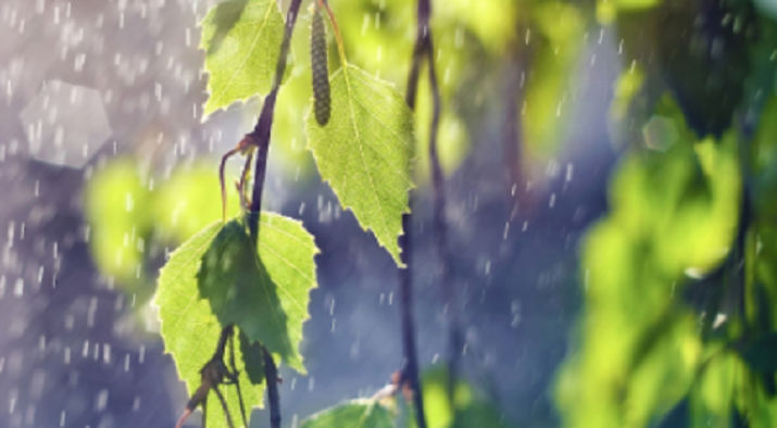 Во второй половине мая Луганскую область ожидают снижение температуры и обильные осадки