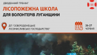 Що робити, щоб страшні лісові пожежі на Луганщині не повторилися?