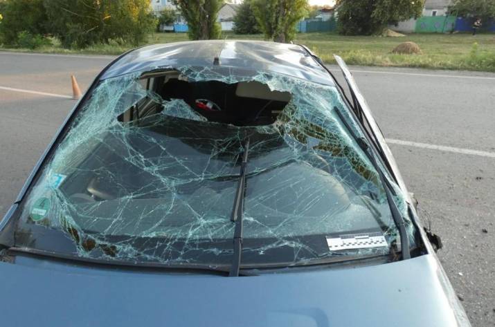 Вчера, 13 июля, в Сватовском районе произошло ДТП с участием грузовика и легковушки.