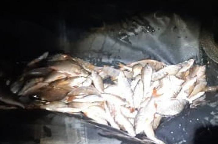 Вчера, 12 августа, на пруду в с. Писаревка выявили нарушение правил рыболовства.