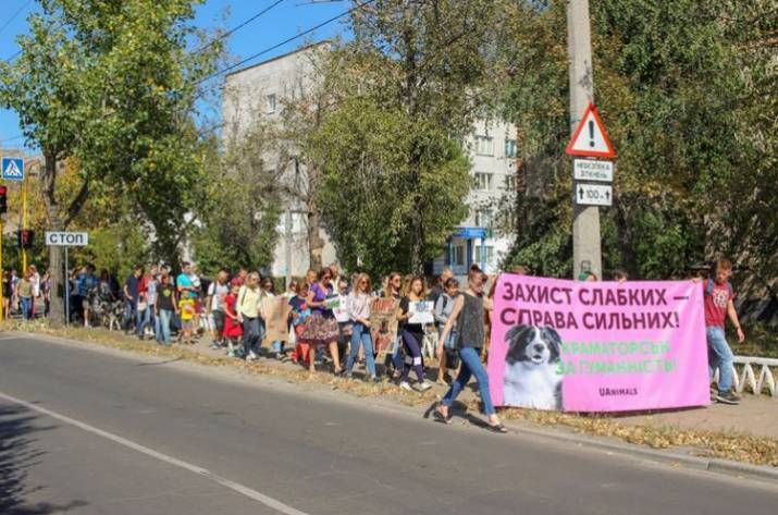 Защита слабых - дело сильных: В Северодонецке состоится марш за права животных