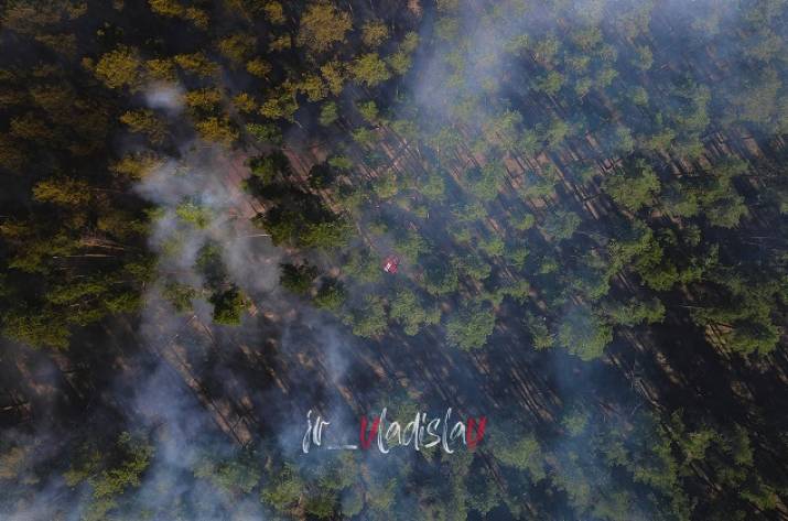 Под Северодонецком горел лес: подробности