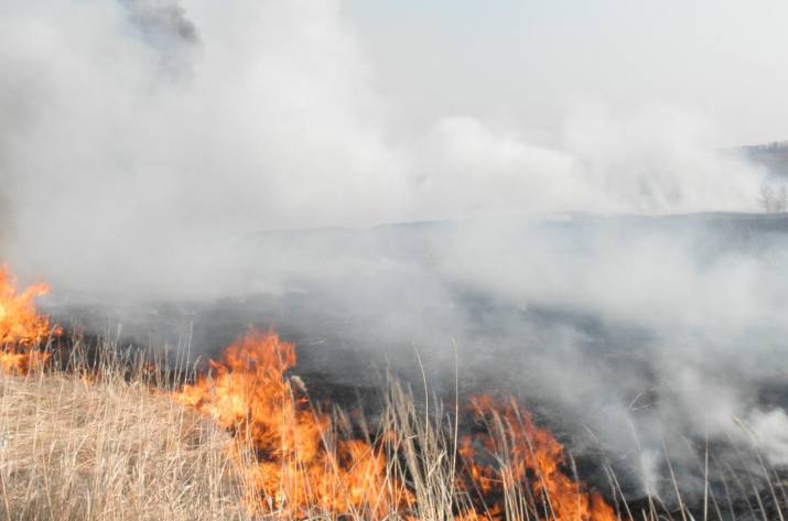 Сжигание сухой растительности привело к трагедии на Луганщине.