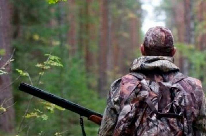 Открылась охота на копытных в Старобельском и бывшем Новопсковском лесхозах.