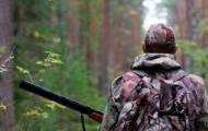 Открылась охота на копытных в Старобельском и бывшем Новопсковском лесхозах.
