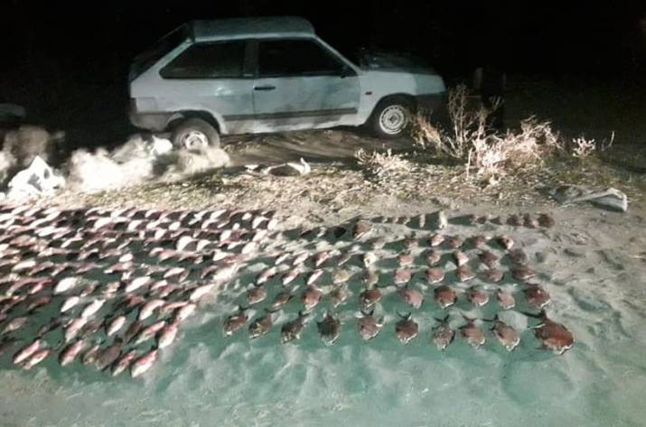 На Луганщине задержали браконьеров