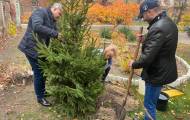 Рубежное присоединилось к глобальному экопроекту: в городе высадили деревья 