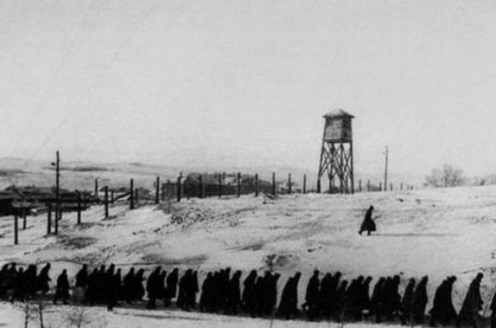 Каннибалы ГУЛАГа