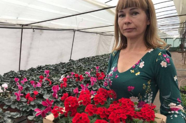 Как фермеры из Луганщины выращивают цветы возле линии разграничения