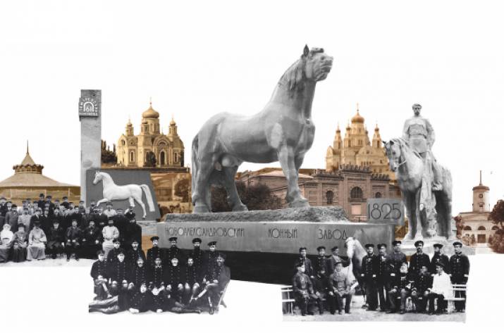 “Біловодськ – столиця кінних заводів України”,