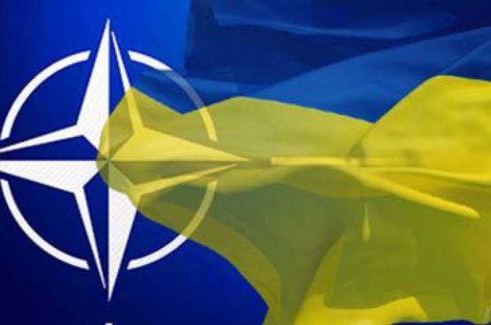 «Україна–НАТО: шлях назустріч» 