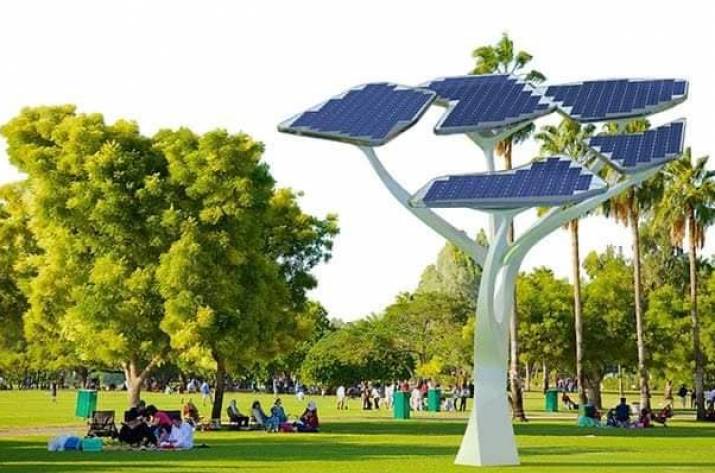 Сонячні дерева на Луганщині 