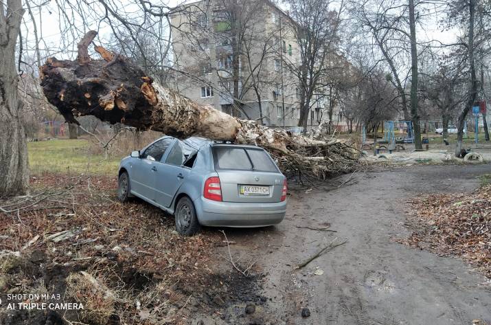 Ураган наделал беды в Славянске (фото)
