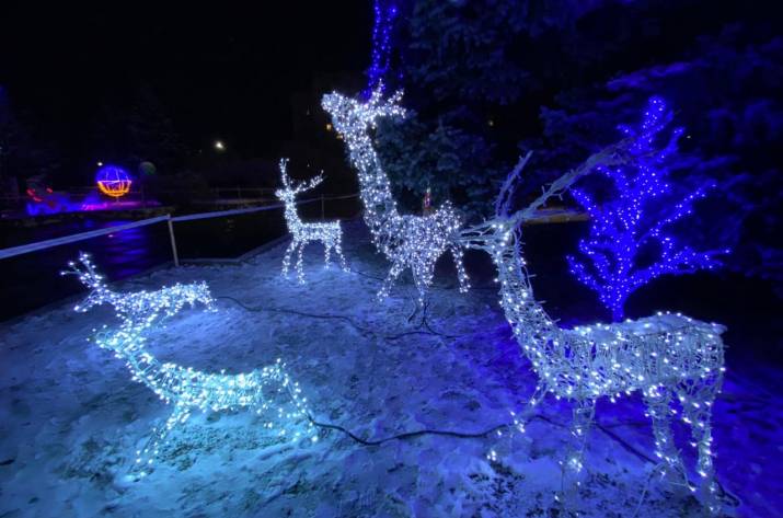 В Рубежном вандалы повредили новогоднюю локацию