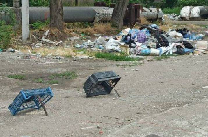 У Маріуполі люди полюють на голубів, бо немає чого їсти, - міська рада