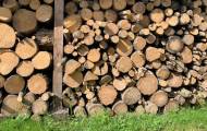 Жителі Донбасу отримають безкоштовно дрова для опалювального сезону
