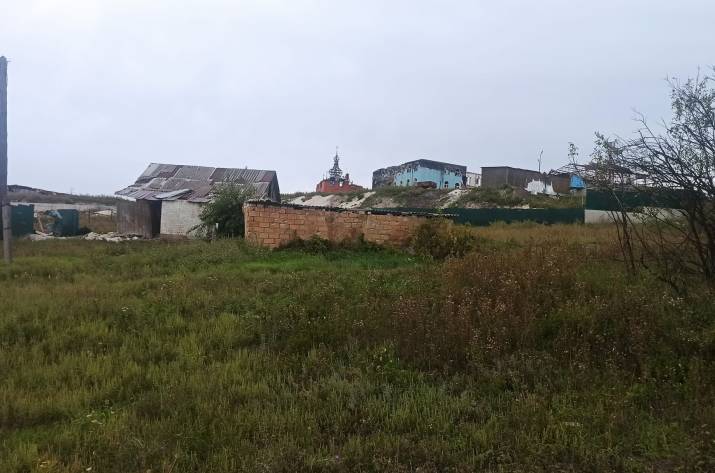 Богородичне