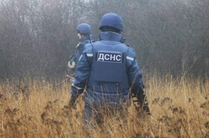 ДСНС
