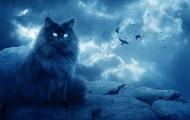 мистическая кошка