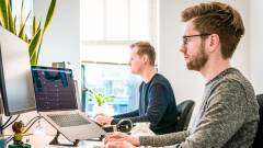 программисты в офисе