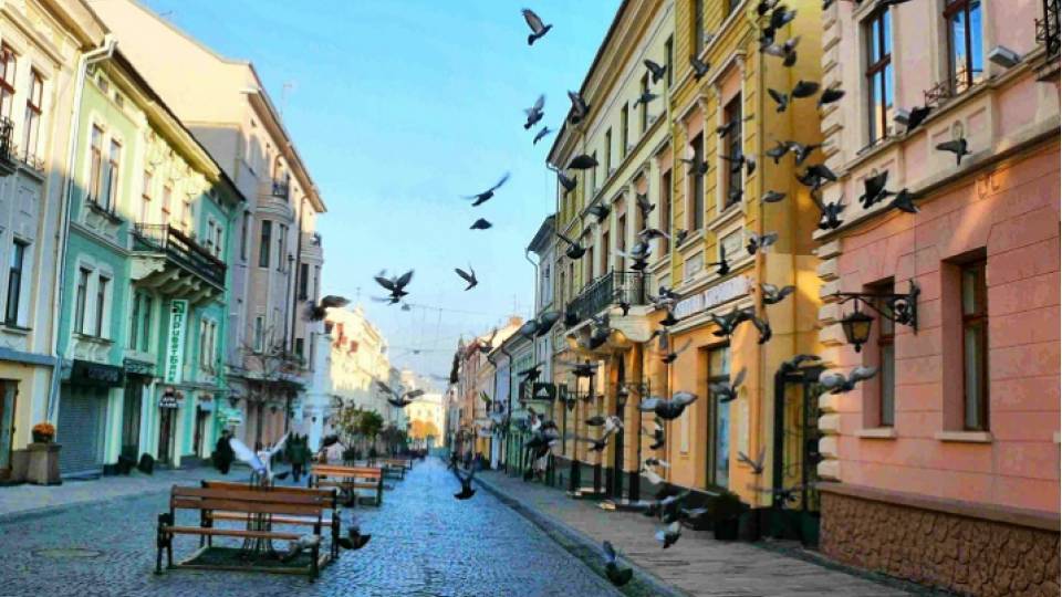 Чернівці 