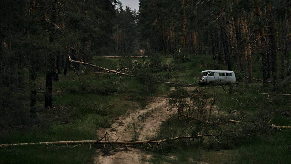 лісництво