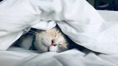 постільна білизна