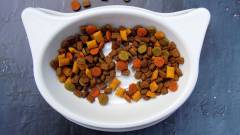 корм для кошек