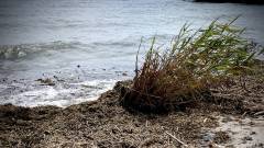 Пляжі Одеси після катастрофи на Каховській ГЕС