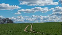 Ілюстративне фото