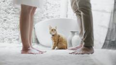 расторжение брака развод