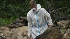 Ексгумація тіл загиблих в Бучі