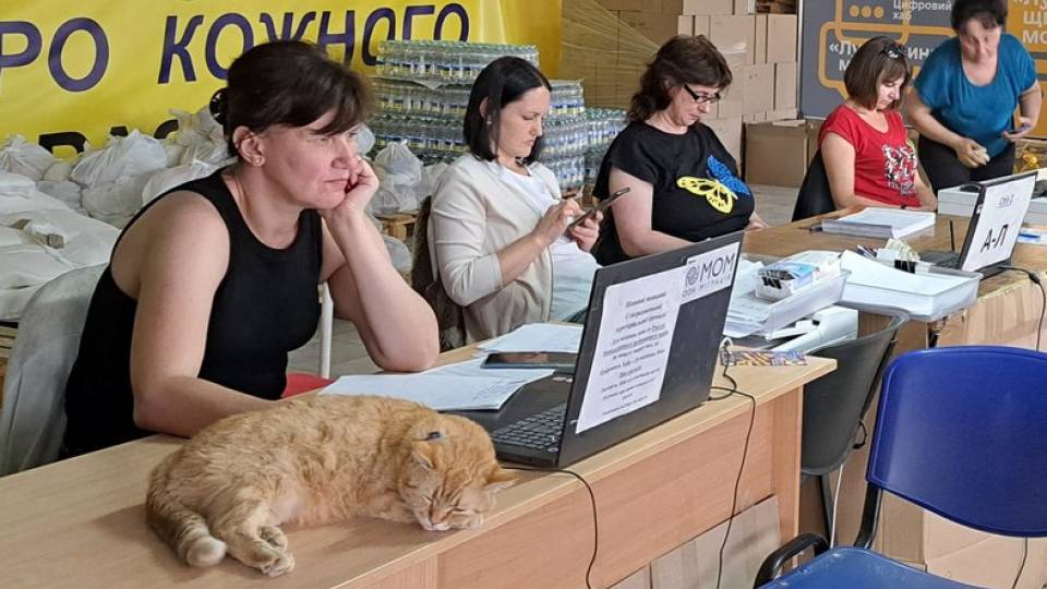 хаб