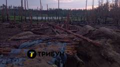 Ліси Кремінної