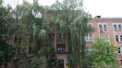 Маріупольський університет в Києві