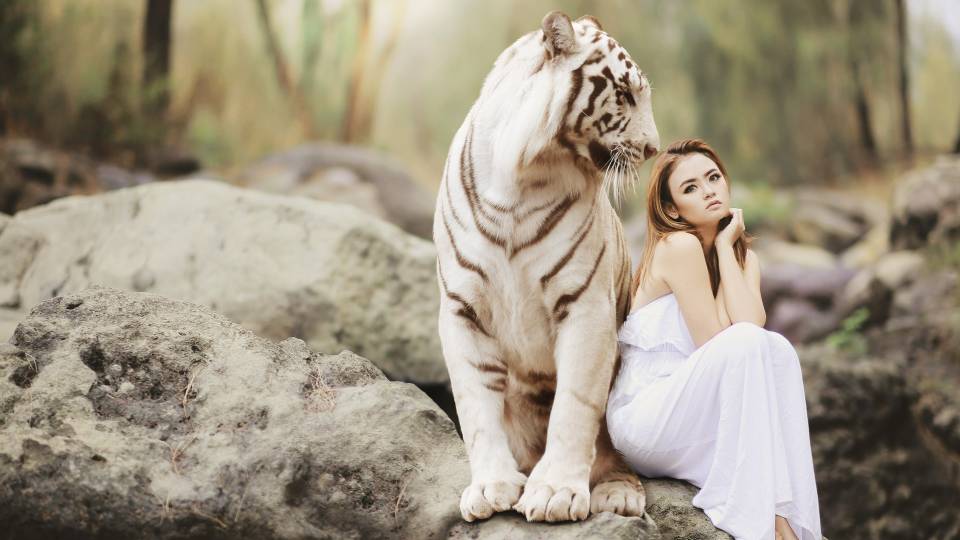 ласковая кошка