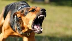 Фото з відкритих джерел