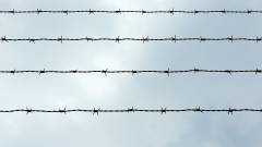 Колючий дріт