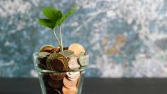 растения и деньги
