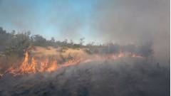 Пожежа на Луганщині