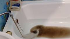 Вода в Антрациті