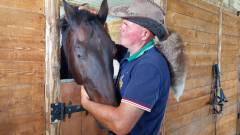 лошадкин дом